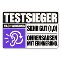 Festival Testverlierer – Ohrensausen mit Erinnerung